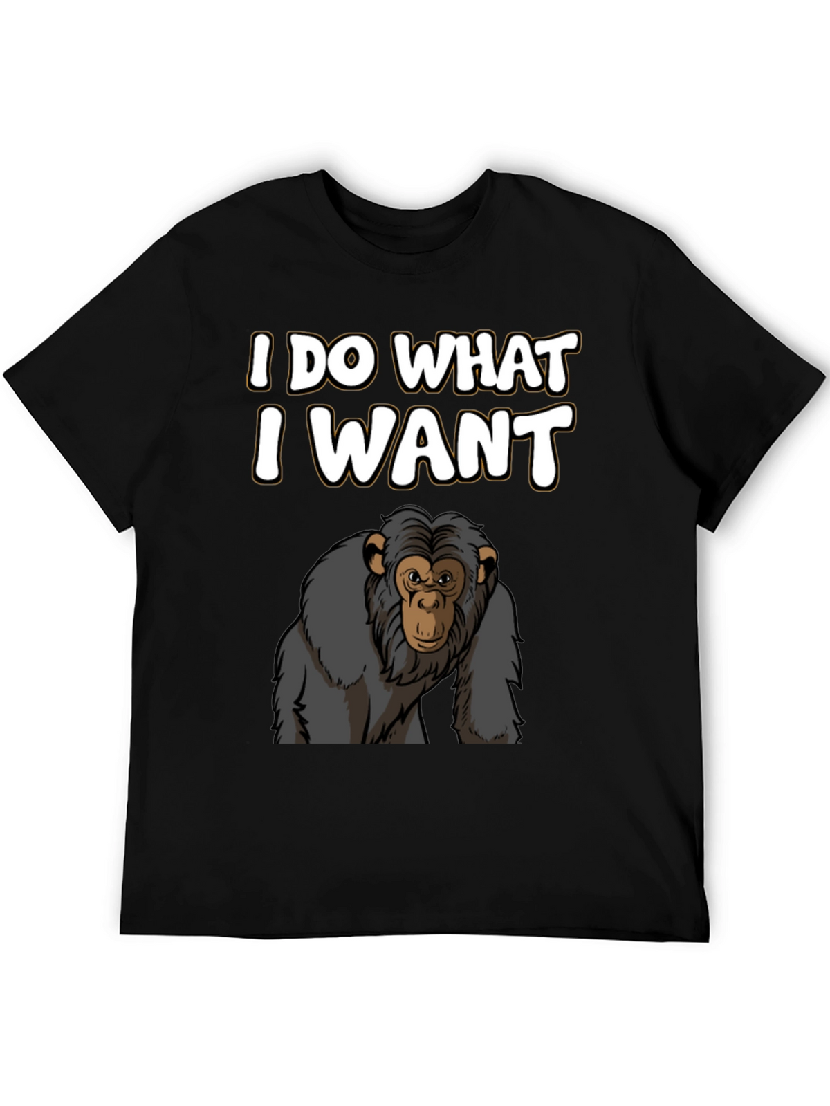 I Do What I Want T-Shirt