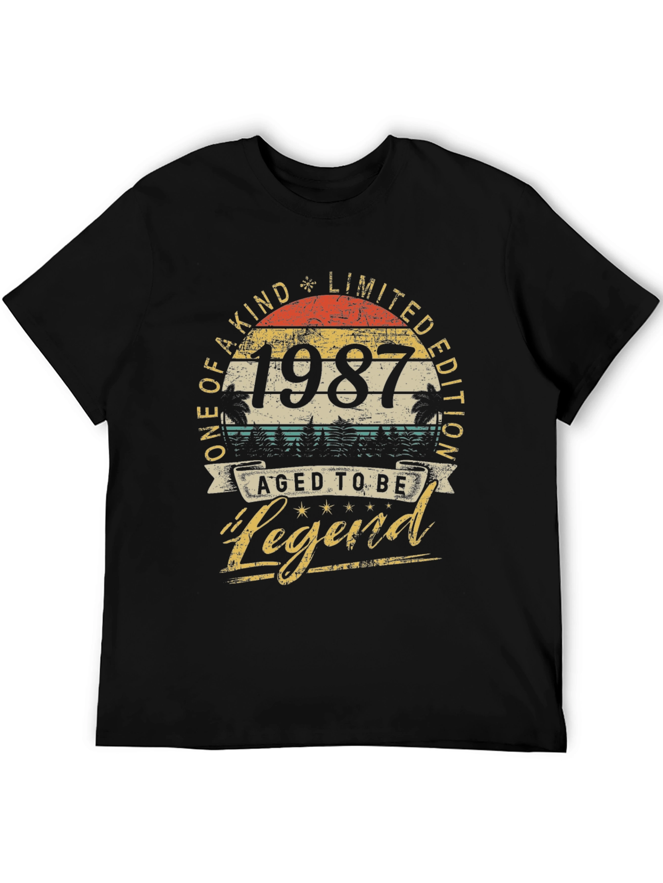 Aged to Be Legend 1987 T-Shirt