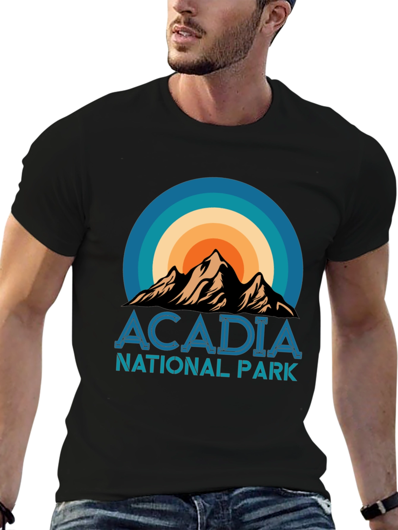 Acadia National Park Retro T-Shirt