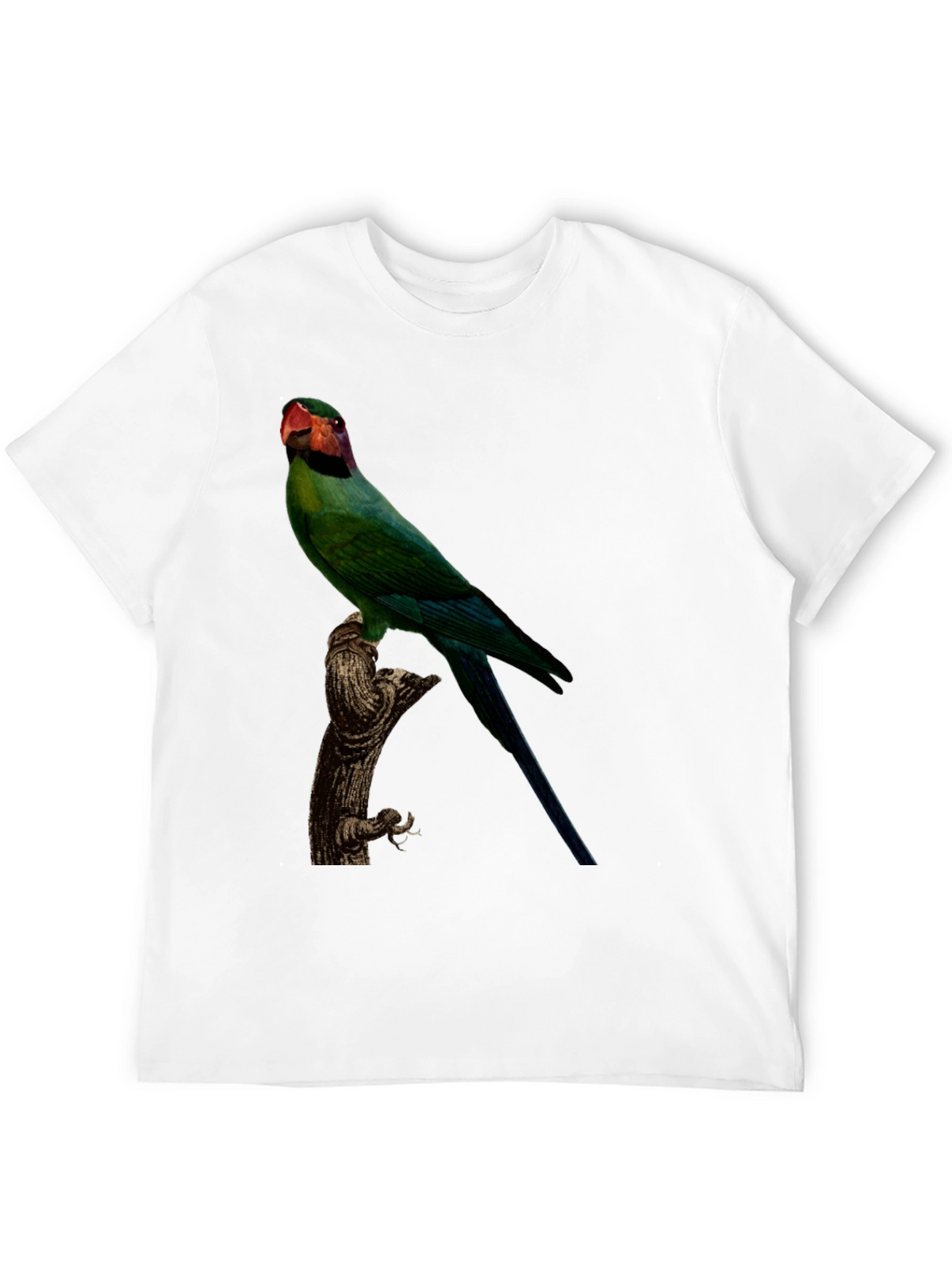 Parrot Graphic T-Shirt