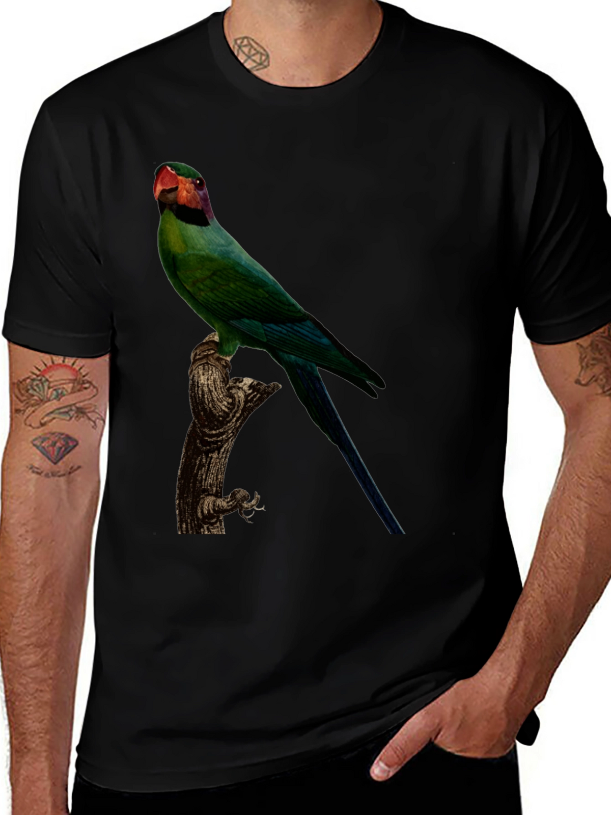 Parrot Graphic T-Shirt