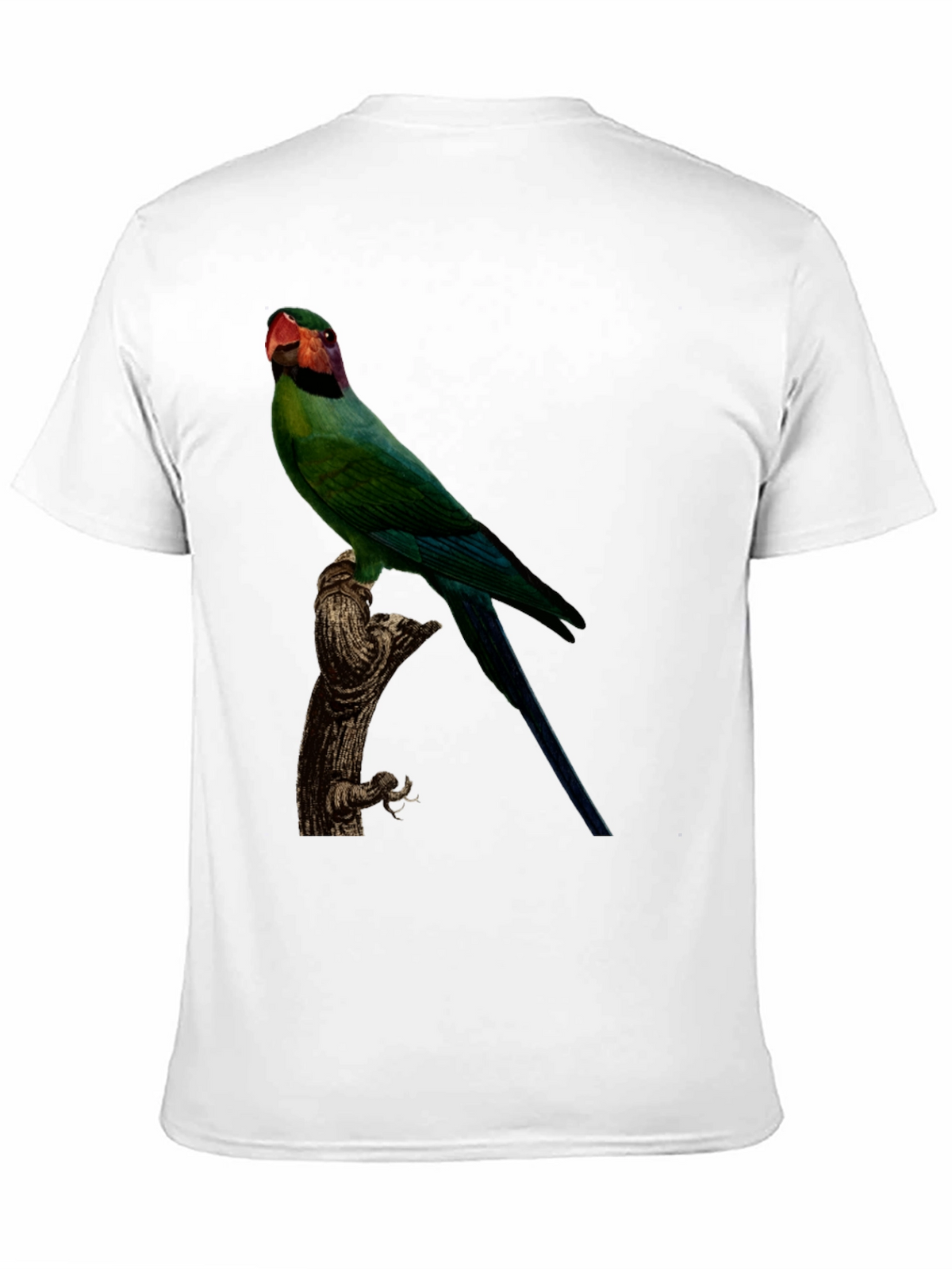 Parrot Graphic T-Shirt