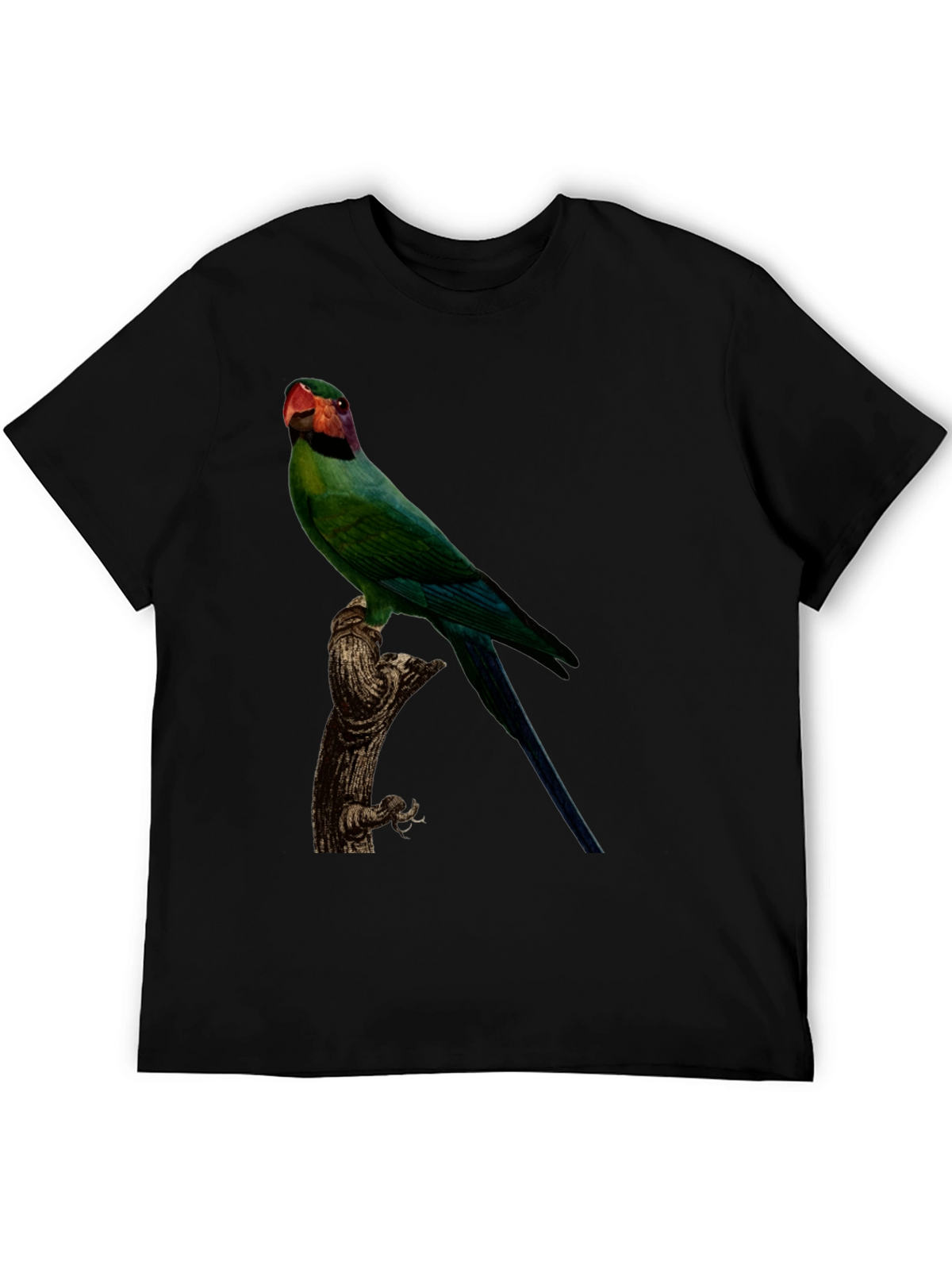 Parrot Graphic T-Shirt