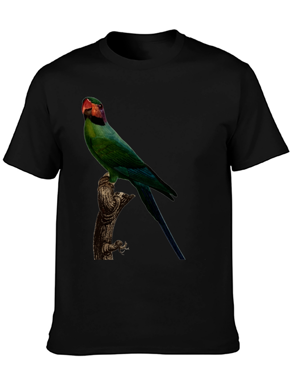 Parrot Graphic T-Shirt