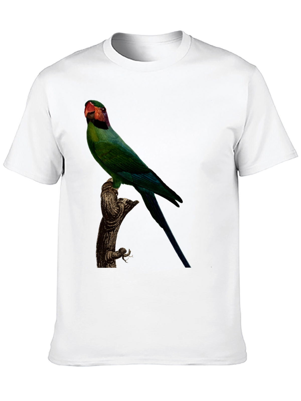 Parrot Graphic T-Shirt