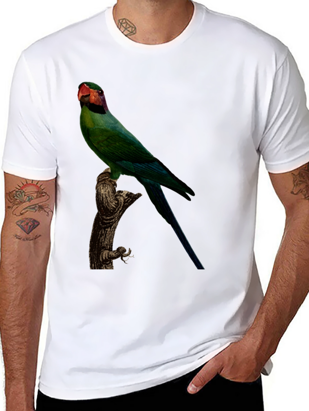 Parrot Graphic T-Shirt