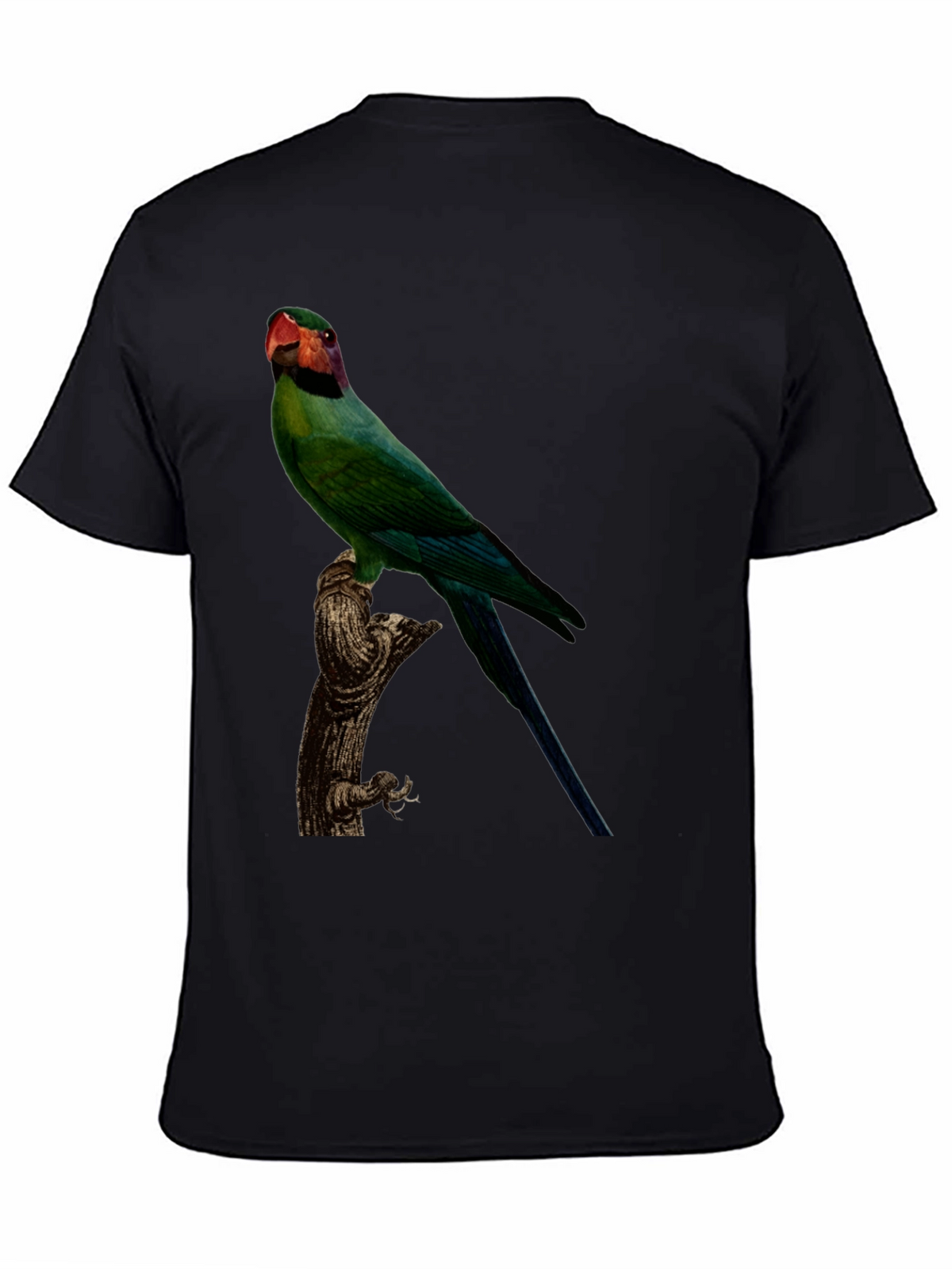 Parrot Graphic T-Shirt