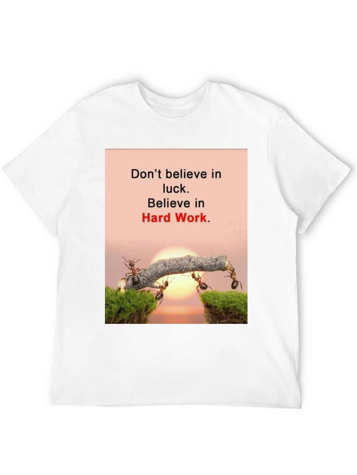 Motivational T-Shirt: Believe in Hard Work